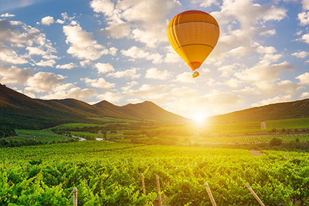 Hot air balloon over the mountains and vineyards.