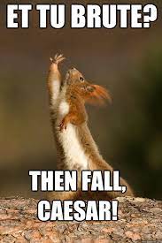 squirrel gesturing dramatically with the words  "Et tu Brute? Then fall Caesar!"