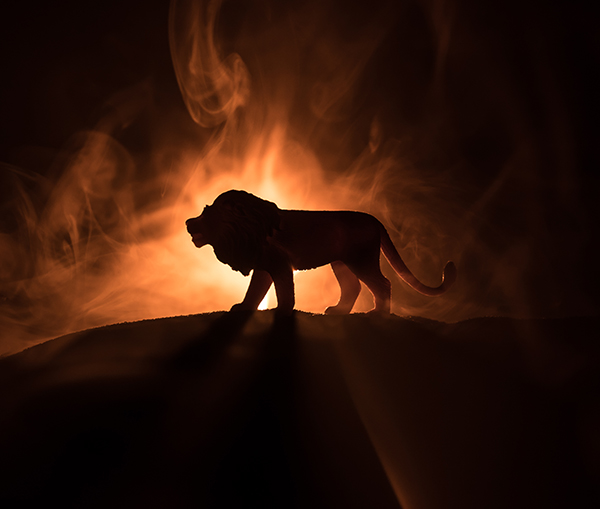 Silhouette of a lion against fiery background