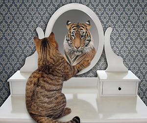 A cat sees a tiger in the mirror